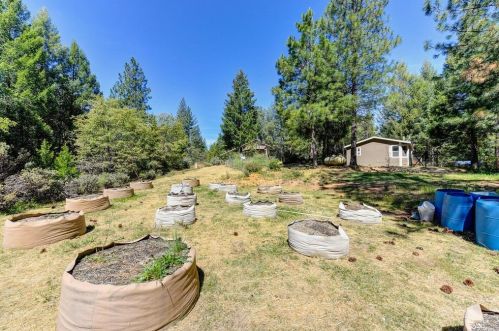 14149 Old Emigrant Trl, Grass Valley CA  95945-8621 exterior