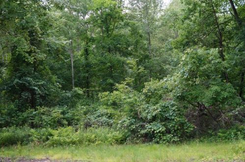 354 Alden Rd, Yorktown Hgts NY  10598-3204 exterior