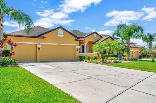 22254 Oakville Dr, Land O Lakes, FL 34639-3902