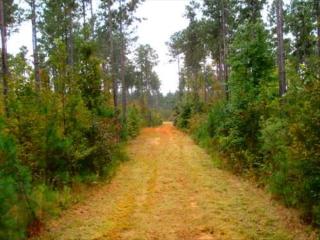 1430 Beulah Rd, Batesburg-Leesville, SC 29070-9069
