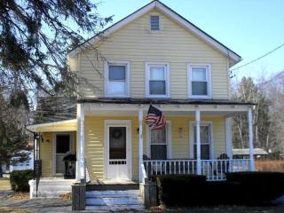 3527 New St, Chatham Center, NY 12184-2521