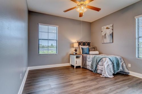 8239 Swiss Chard Cir, Land O Lakes FL  34637-7662 exterior