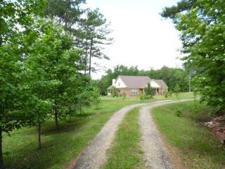 41 Watermelon Creek Rd, Pittsview, AL 36871-2654