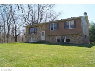2860 Sharon Copley Rd, Medina, OH 44256-7407