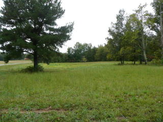 2955 Firetower Rd, Leach, TN 38344-5711