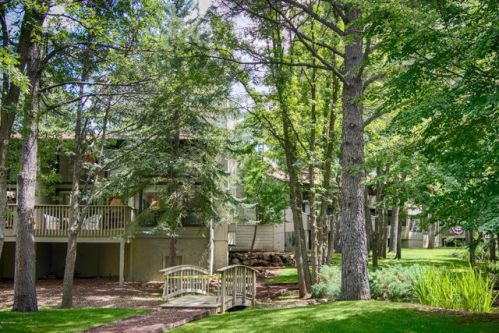 3696 Crown Dancer Dr, Pinetop, AZ 85935-8587