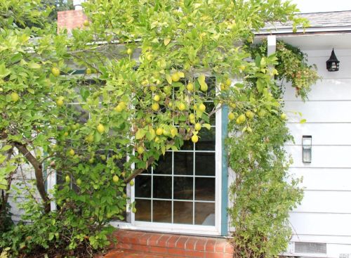 395 Spg St, Ukiah CA  95482-4221 exterior