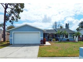3132 Muir St, Tarpon Springs, FL 34691-3154