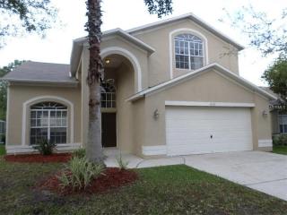 13101 Royal George Ave, Odessa, FL 33556-5720