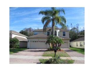 356 Ventura Dr, Oldsmar, FL 34677-4600