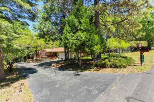 6504 Green Leaf Ln, Michigan Bluff, CA 95631-9625