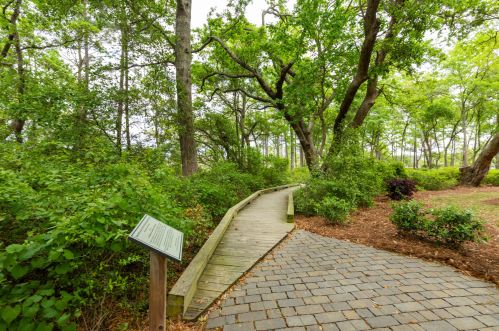 208 Slipper Shell Ct, Mount Pleasant SC  29464-6724 exterior