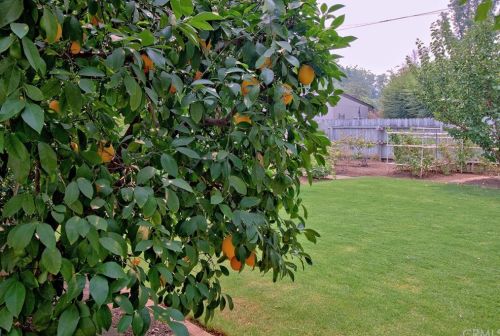 1087 Via Verona Dr, Chico CA  95973-1030 exterior