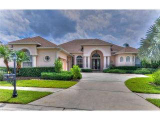15416 Wind Whisper Dr, Odessa, FL 33556-1795
