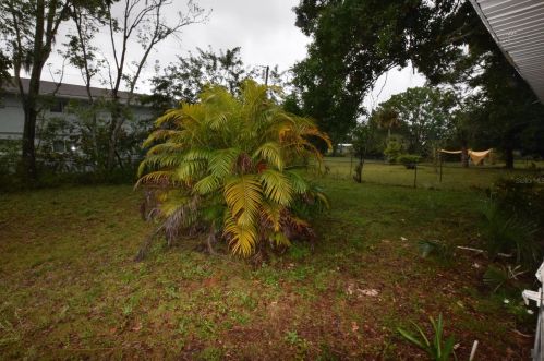 1603 Palmetto St, Titusville FL  32796-3828 exterior