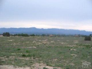 1316 Topnotch Trl, Penrose, CO 81240