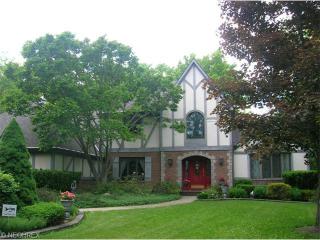 4130 Erhart Rd, Medina, OH 44256-8975