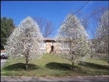 8907 Farne Island Blvd, Knoxville, TN 37923-1530