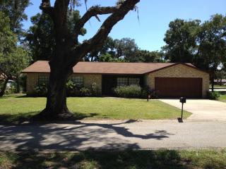 1 Avenue Lavista, Ormond Beach, FL 32174-3405