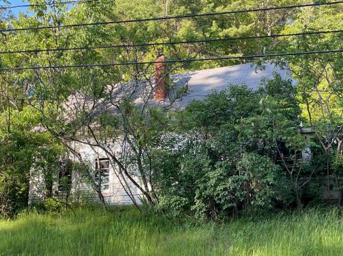 86 Goboro Rd, Chichester, NH 03234-4109