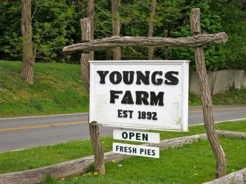 61 Roslyn Dr, Muttontown NY  11545-1733 exterior