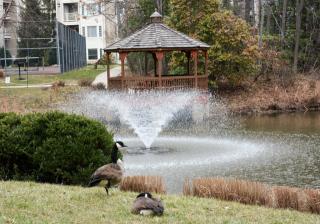 12205 Fairfield House Dr, Fairfax, VA 22033-3914