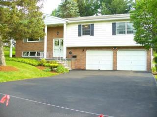 4244 Emerson Pl, Vestal, NY 13850-4019