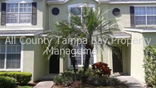 6267 Osprey Lake Cir, Riverview FL  33578-8909 exterior
