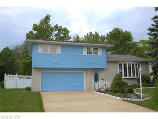 4189 Cherokee Trl, Brunswick, OH 44212-1715
