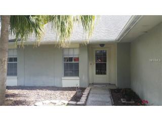 2006 Green Juniper Ln, Brandon, FL 33511-8360