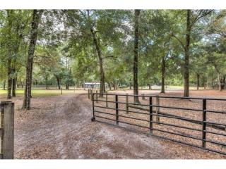 31345 Brantley Branch Rd, Eustis, FL 32736-9660