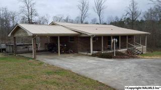 885 Mount Sinai Rd, Horton, AL 35980-8824