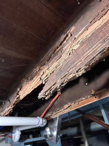 1430 Old Butler Rd, New Castle PA  16101-9065 exterior