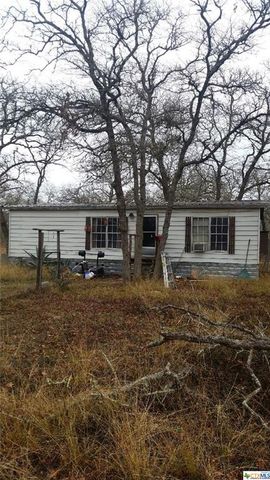 111 Dinks Ln, Seguin, TX 78155-0553