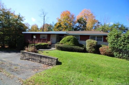 18 Delaware Ave, Liberty, NY 12754-1505