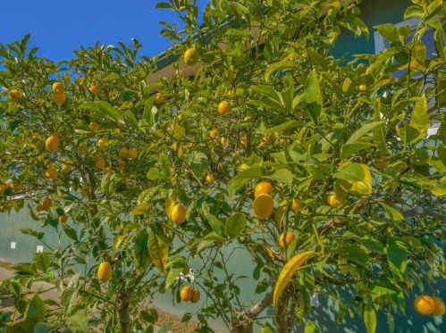 417 Locust St, Del Monte Park CA  93950-3924 exterior