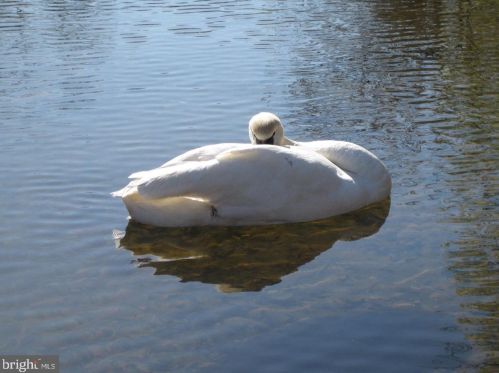 124 Saylers Crk Rd, Locust Grove VA 22508-5119 exterior