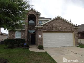 19511 Aventine Plantation Dr, Katy TX  77449-2684 exterior