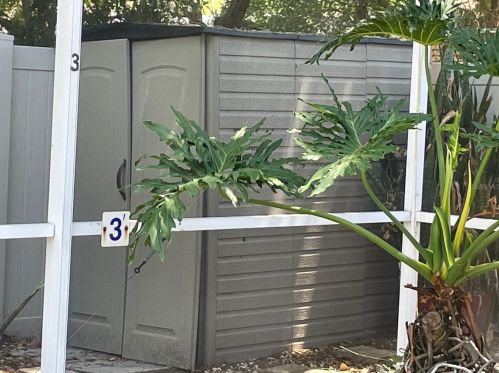 2615 Chatham Cir, Kissimmee FL 34746-5187 exterior