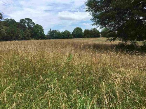 1022 Highway 184, Iva, SC 29655-7503