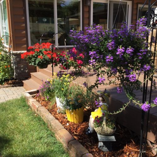 126 Freedom Rd, Alex MN  56308-8903 exterior