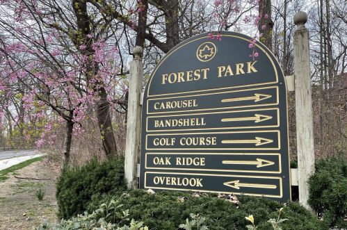 125-10 Queens Blvd, Jamaica NY  11415 exterior