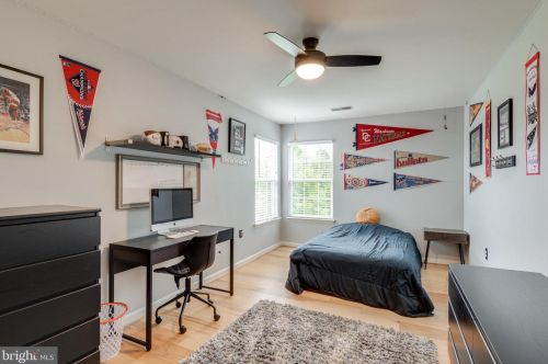 167 Alpine Dr, Leesburg VA 20175-6172 exterior