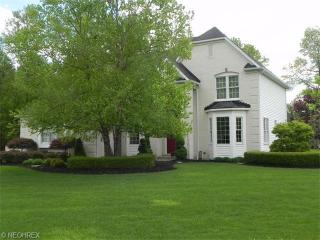 27035 Grv Ct, Cleveland OH  exterior