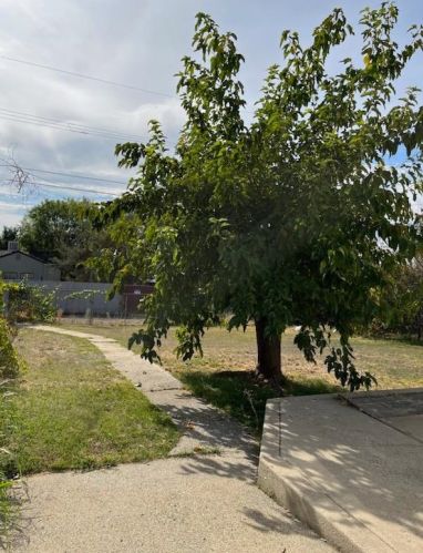 3479 Stauss Ave, Oroville CA  95966-5236 exterior