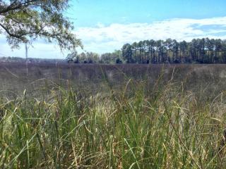 2606 Cauley Ln, Jacksonville, FL 32218-7127