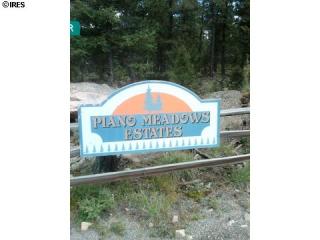 12888 Piano Meadows Dr, Conifer, CO