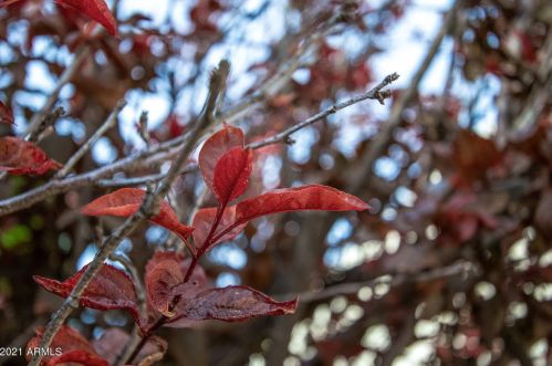 7651 Edgemont Ave, Scottsdale AZ 85257-1815 exterior