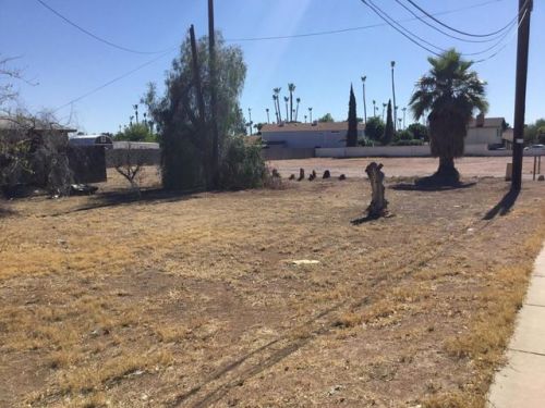 1750 Gilbert Rd, Mesa, AZ 85203-2803