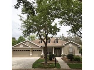 15234 Kestrelrise Dr, Lithia, FL 33547-4834